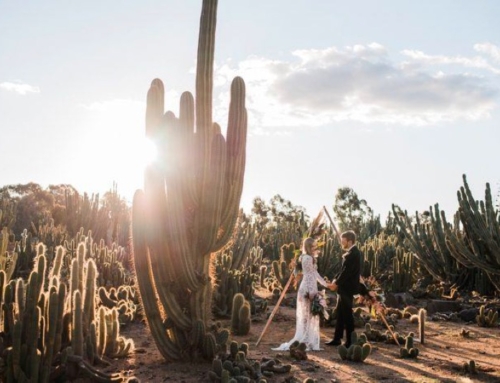 5 Reasons to Get Married in the Desert!